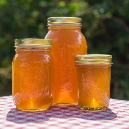 Sinks Canyon Bee Company - Lander WY Raw Honey & Pollen
