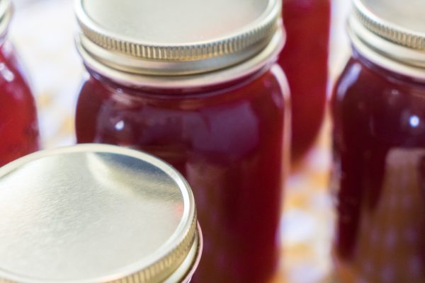 Sinks Canyon Bee Company - Lander WY Raw Honey & Pollen